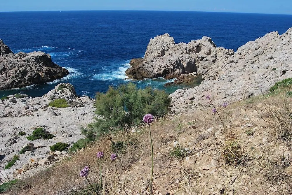 Hotel Can Moragues Arta